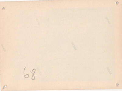 mpf-docp-phot-3-2-v.jpg