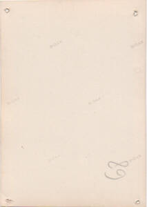 mpf-docp-phot-3-22-v.jpg