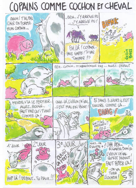 B.D. 'Copain comme Cochon et Cheval'